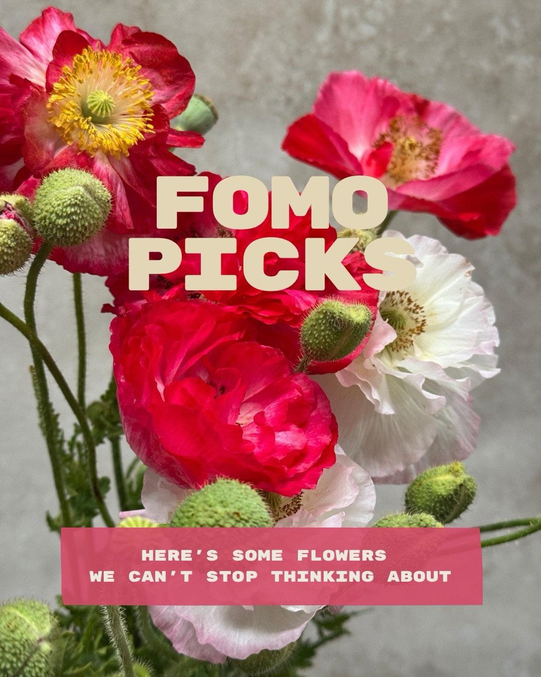 Want to know what flowers we can&rsquo;t get over this week?