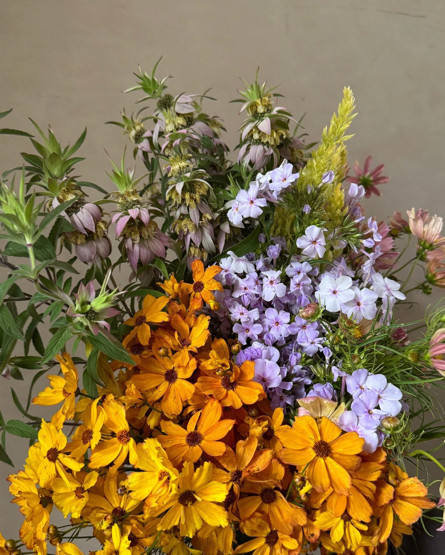 Our palette crush this week comes from our recent DIY flower buckets. A mix of pastels hues and punchy brights in summers best flowers. Congrats to L+N!

MONARDA punctata - @borrowedgarden 
CELOSIA argentea var. plumosa Sylphid - @deweyfarmsflowers 
