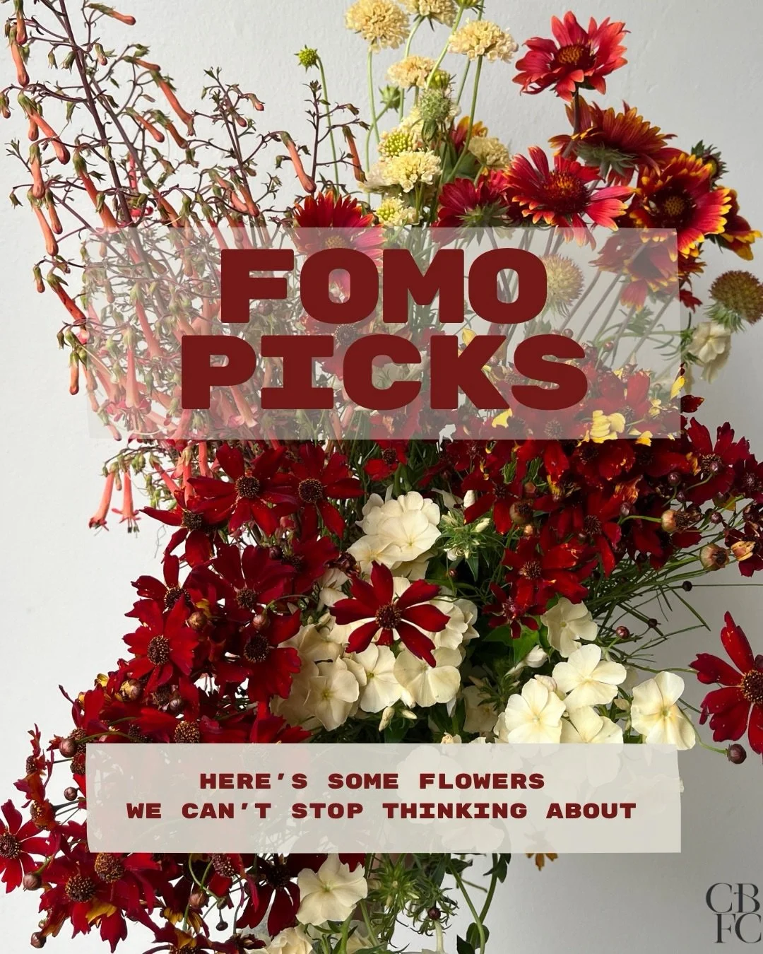 Here&rsquo;s what we can&rsquo;t stop thinking about this week!