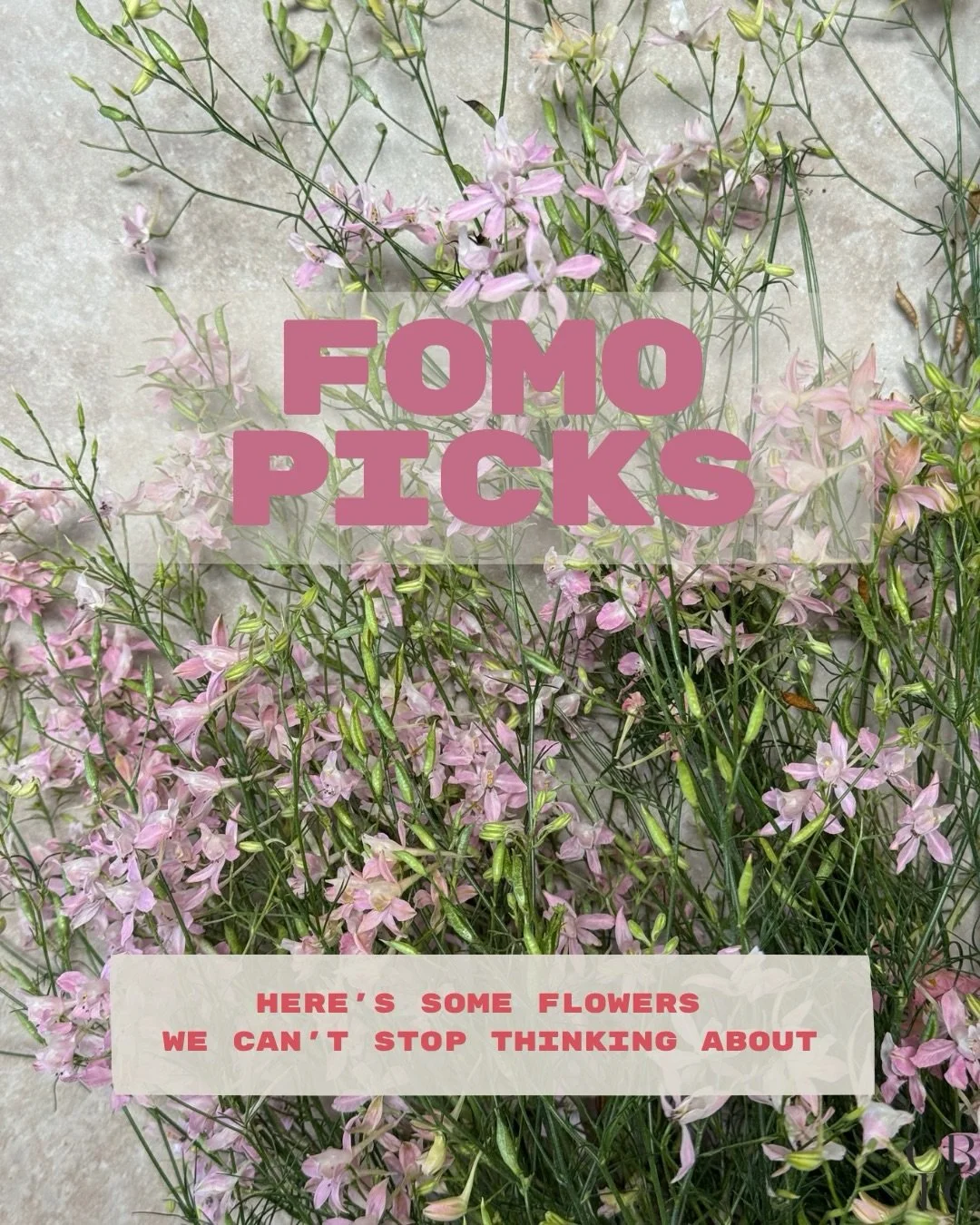 Our FOMO picks for the week! All of these lovely beauties are currently in our shop right now ❤️❤️❤️
