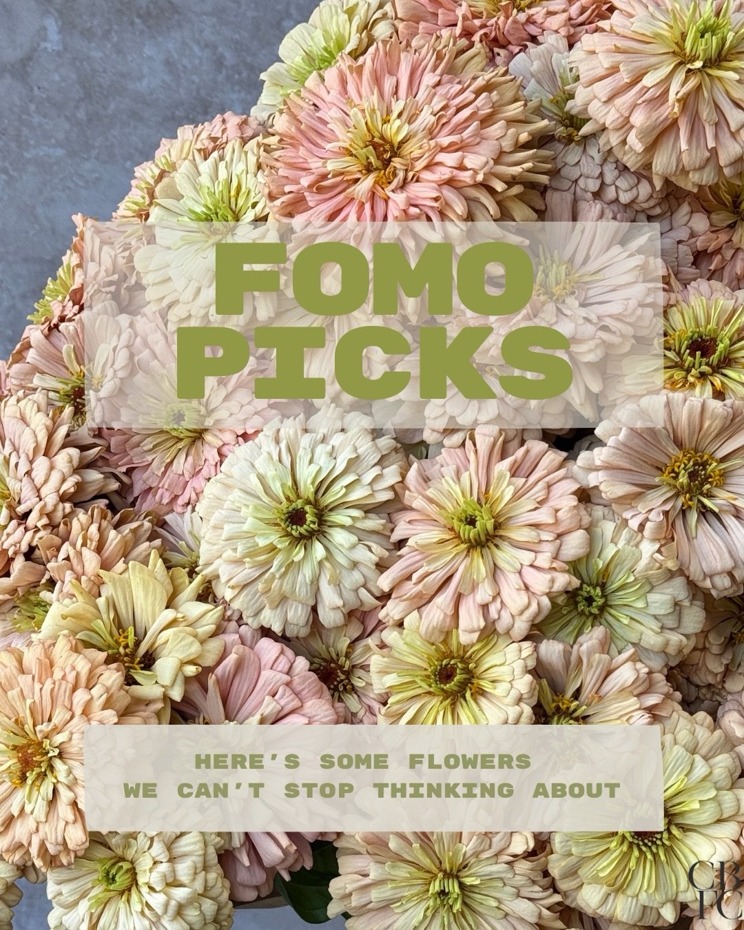 Flowers we can&rsquo;t stop thinking about