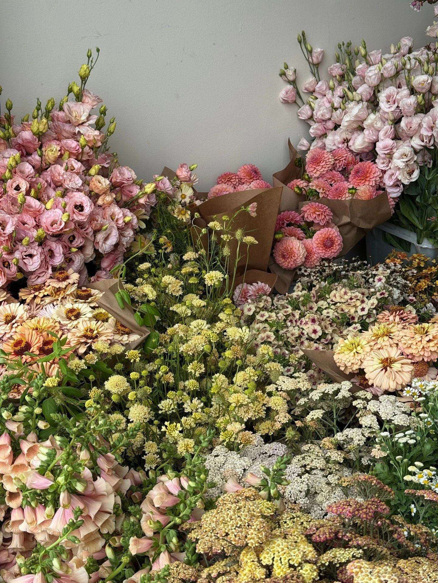 Summer abundance for @gatherfloral <3