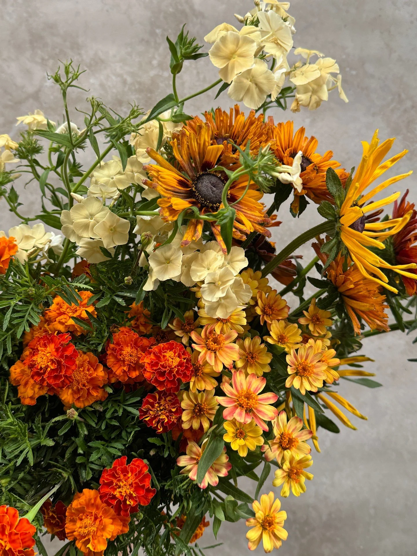 Sparkling golds, deeply saturated oranges, shimmering peach and buttercream. We love u summer. 

RUDBECKIA hirta Chim Chiminee and PHLOX drummondii Isabellina - @starsightfarm 
TAGETES patula Queen Sophia and ZINNIA x Profusion Apricot - @deweyfarmsf