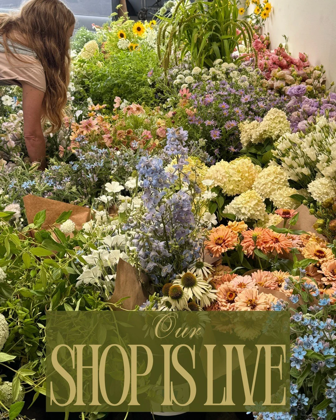 Our shop is live!
