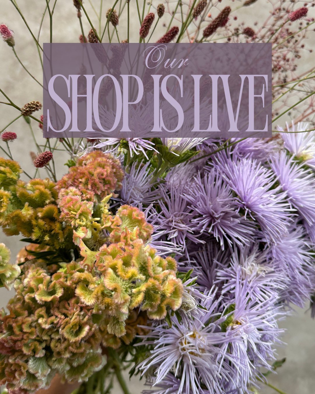It's 3pm and you know what that means. Our shop is live!
