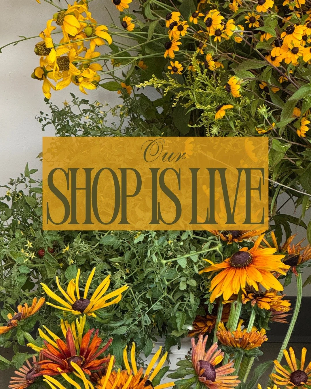 It's 3pm and you know what that means. Our shop is live!