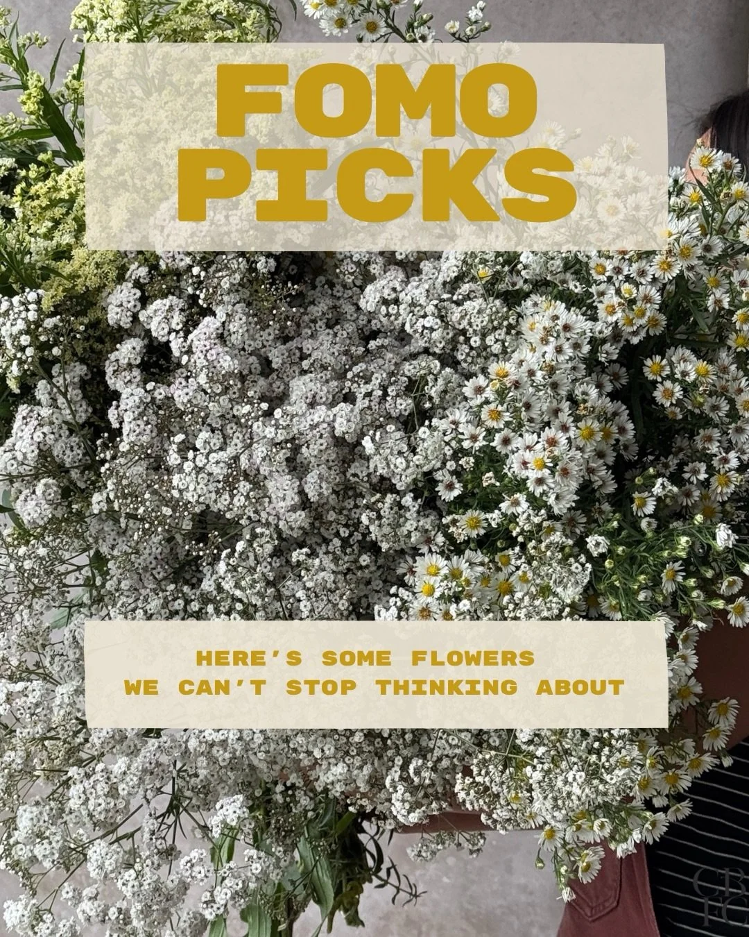 Flowers we can&rsquo;t stop thinking about this week