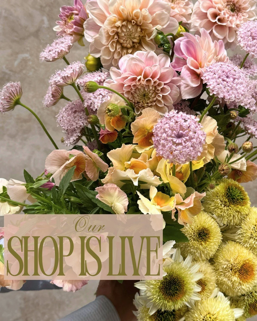 Our shop is live!