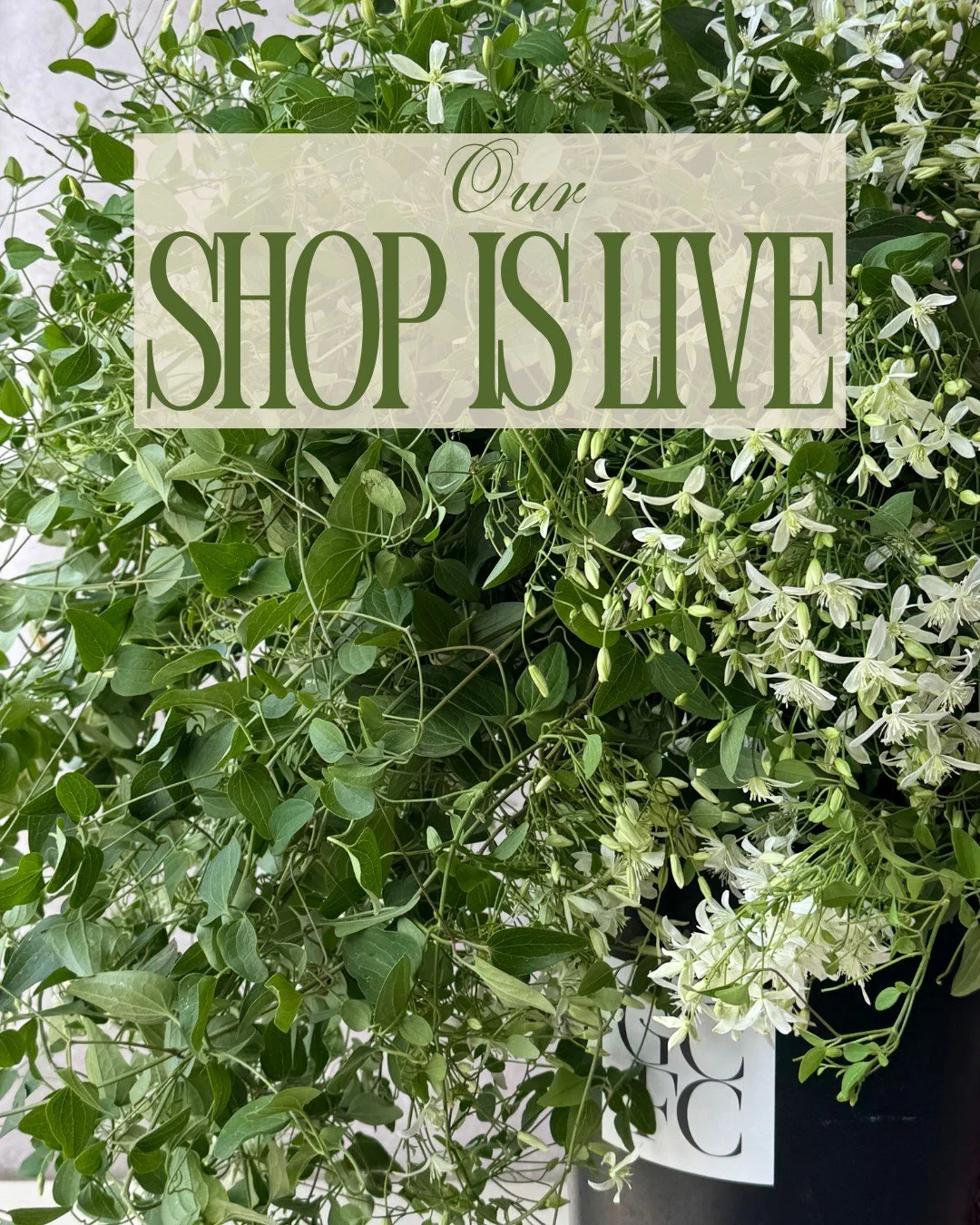 Our shop is live!