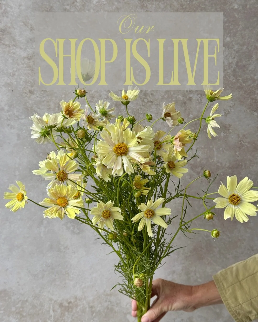 Our shop is live!