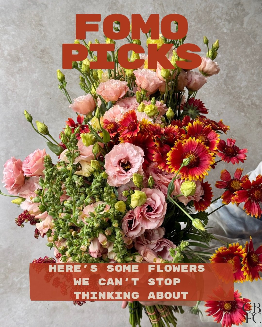 Flowers we are loving this week. Shop closes at midnight on Sunday ❤️