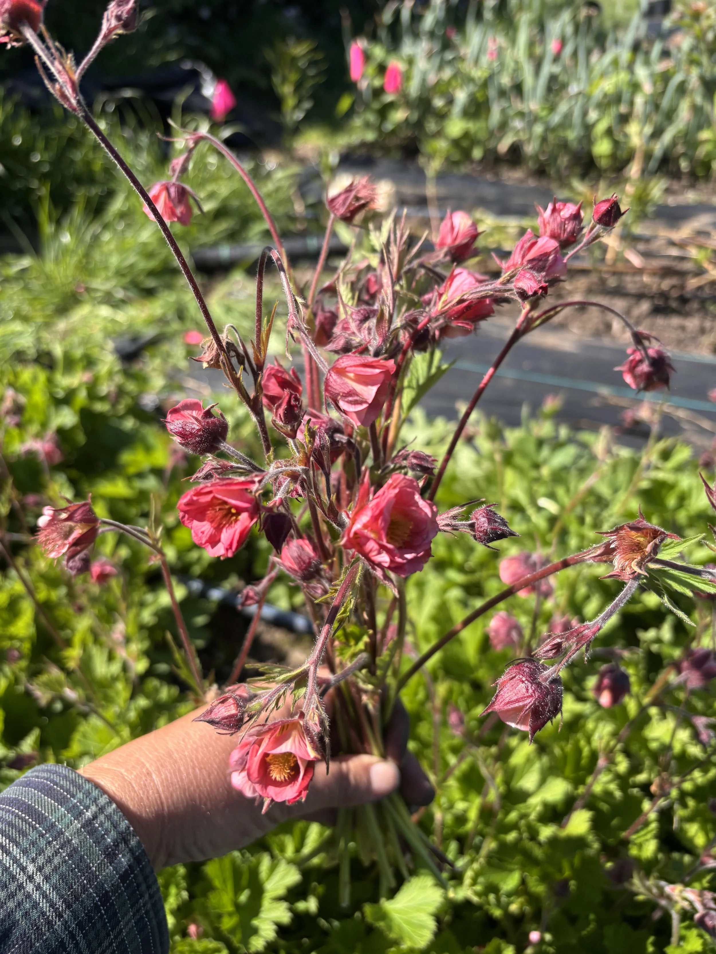 GEUM x Bell Bank