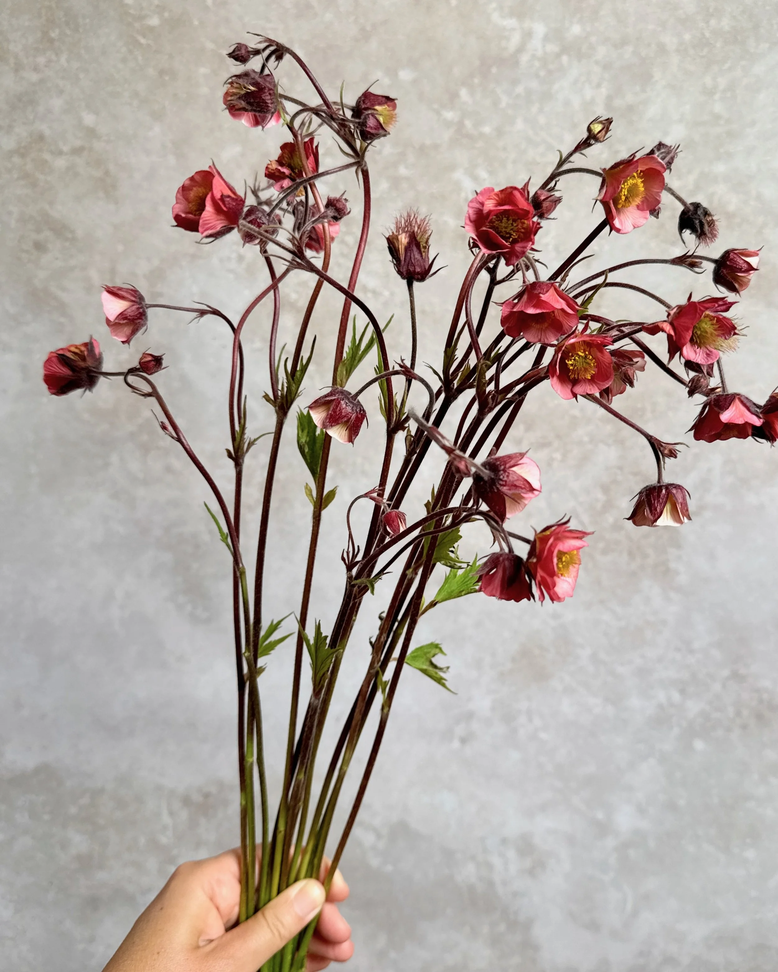 GEUM x Bell Bank