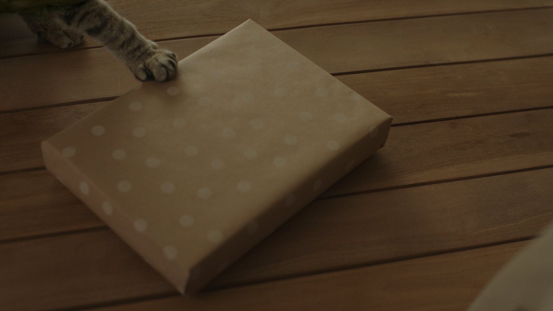 MOGGIE_Understanding Humans_frames_3.jpg
