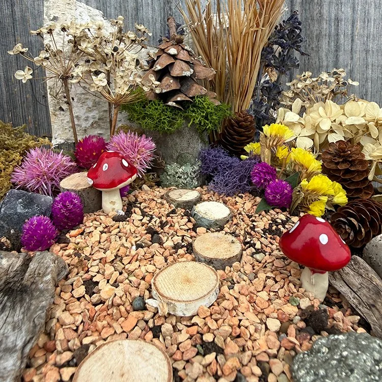 FairyGardenAcuityImage.jpg (Copy)