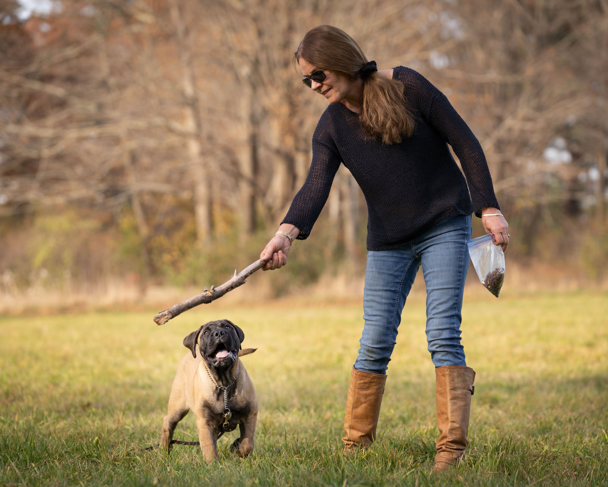 Mom holding stick for 3 month old bull mastiff puppy