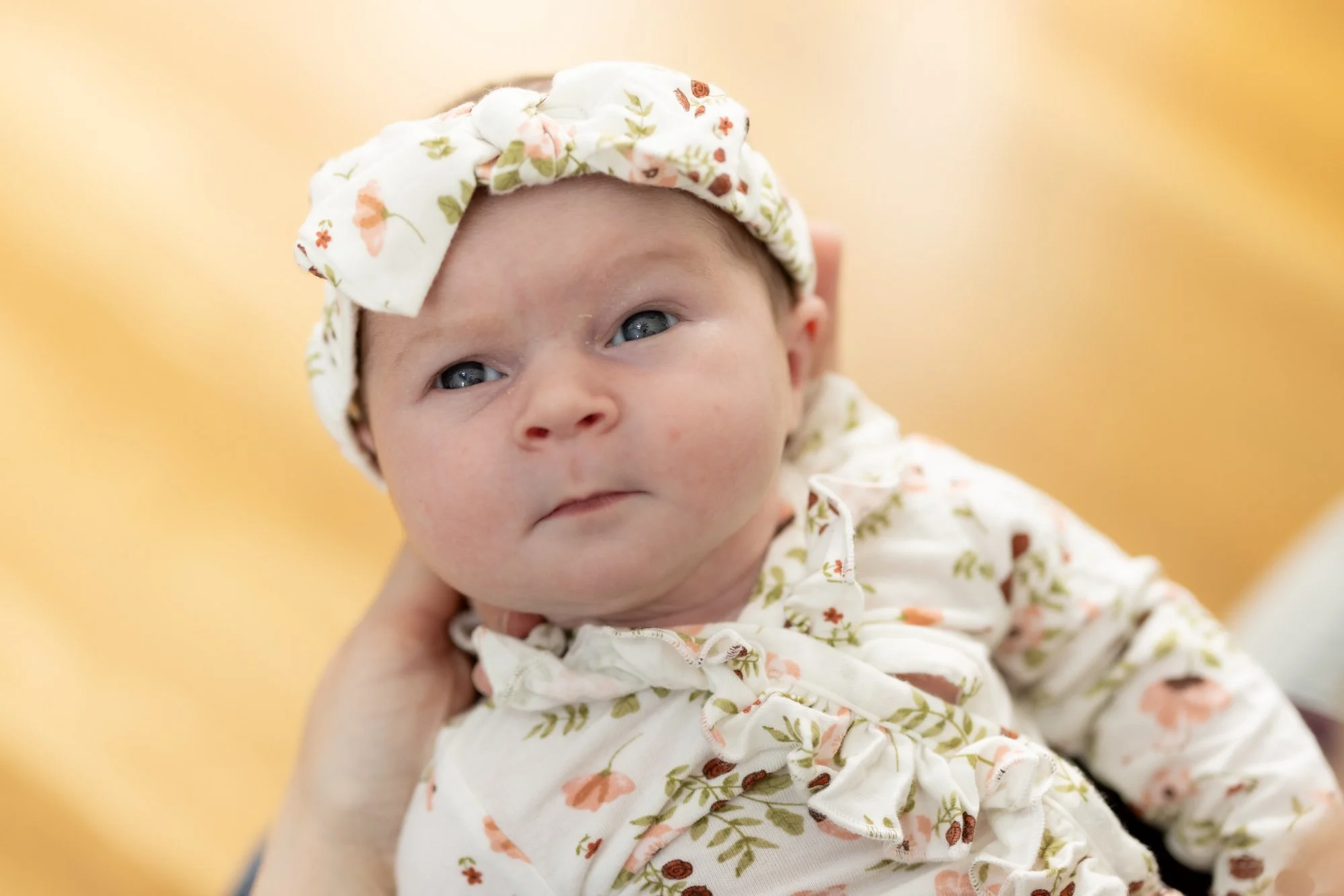 newborn baby girl with eyes open wearing floral outfit.jpg