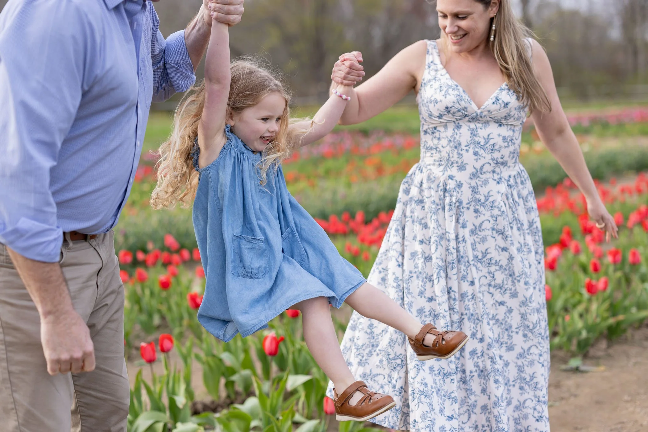 dad and mom swing happy little girl in tulip field