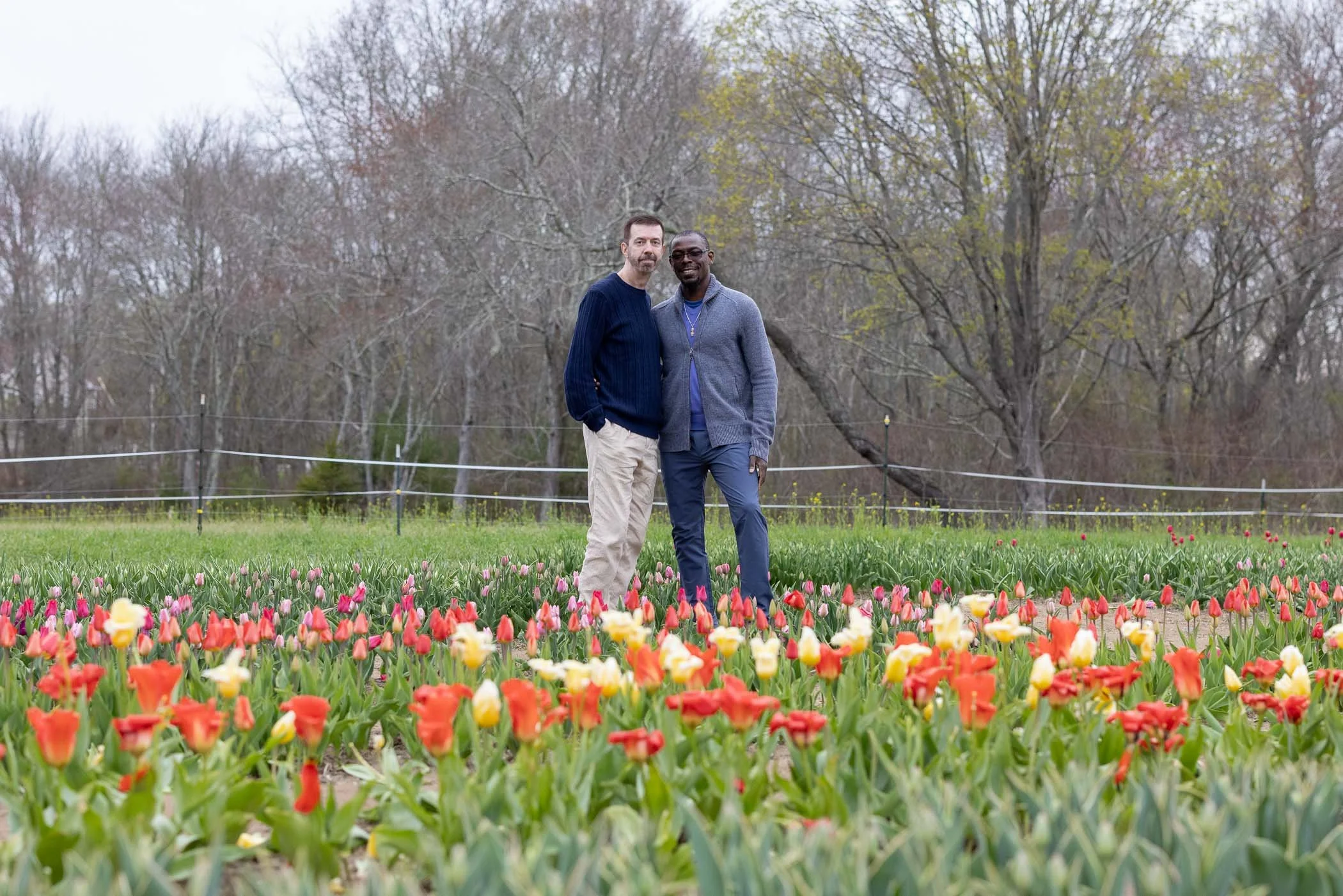 tulips-7.jpg