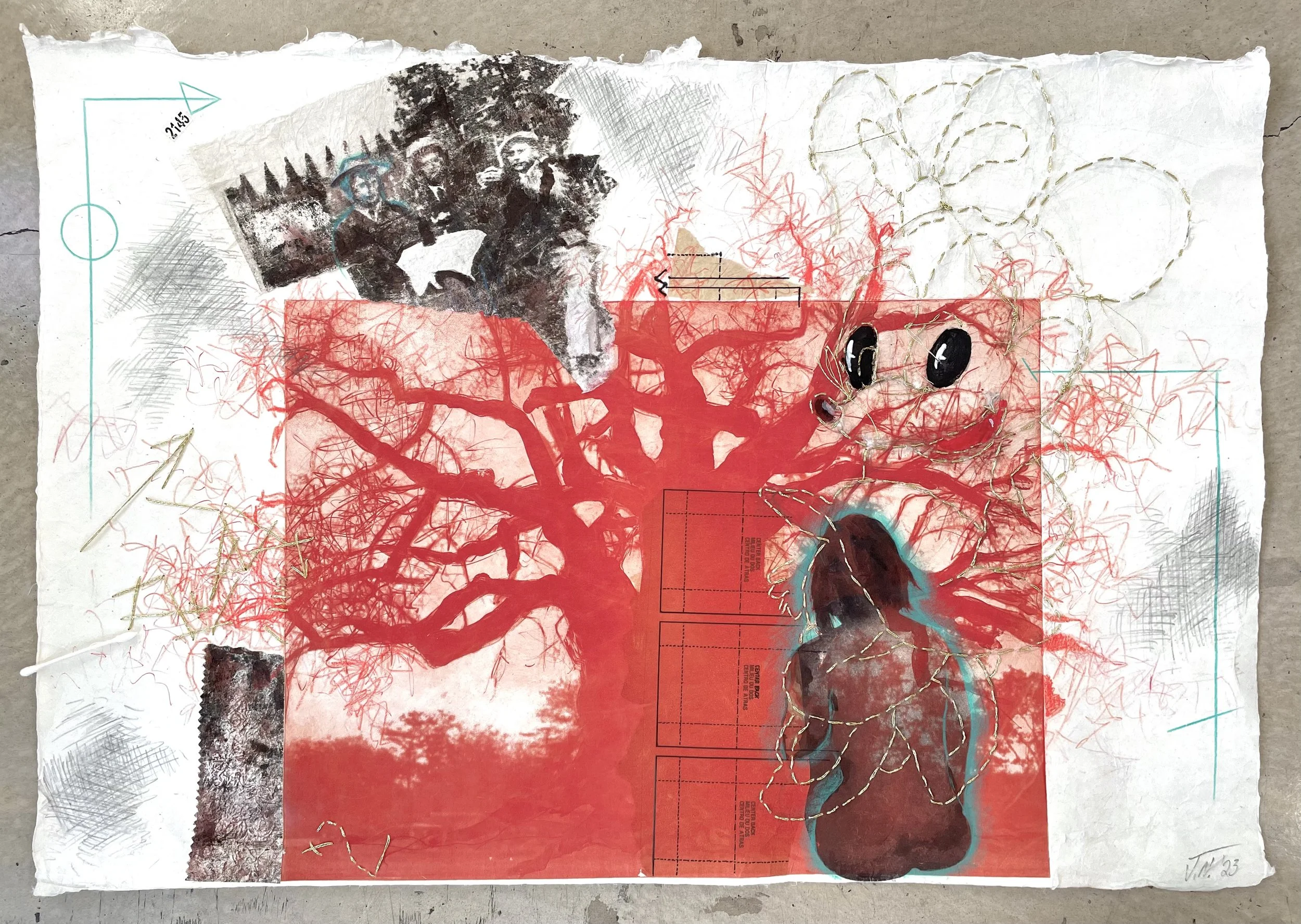 From the Land of The Baobab