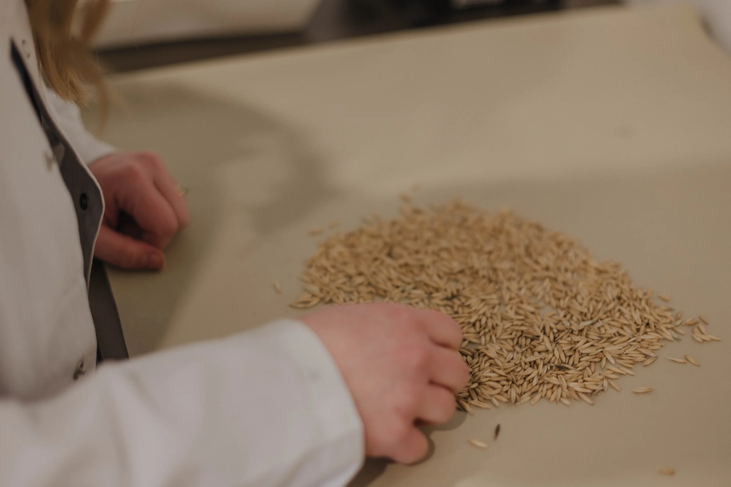 Why Grain Grading Is Evolving: Meeting the Needs of a Modern Supply Chain