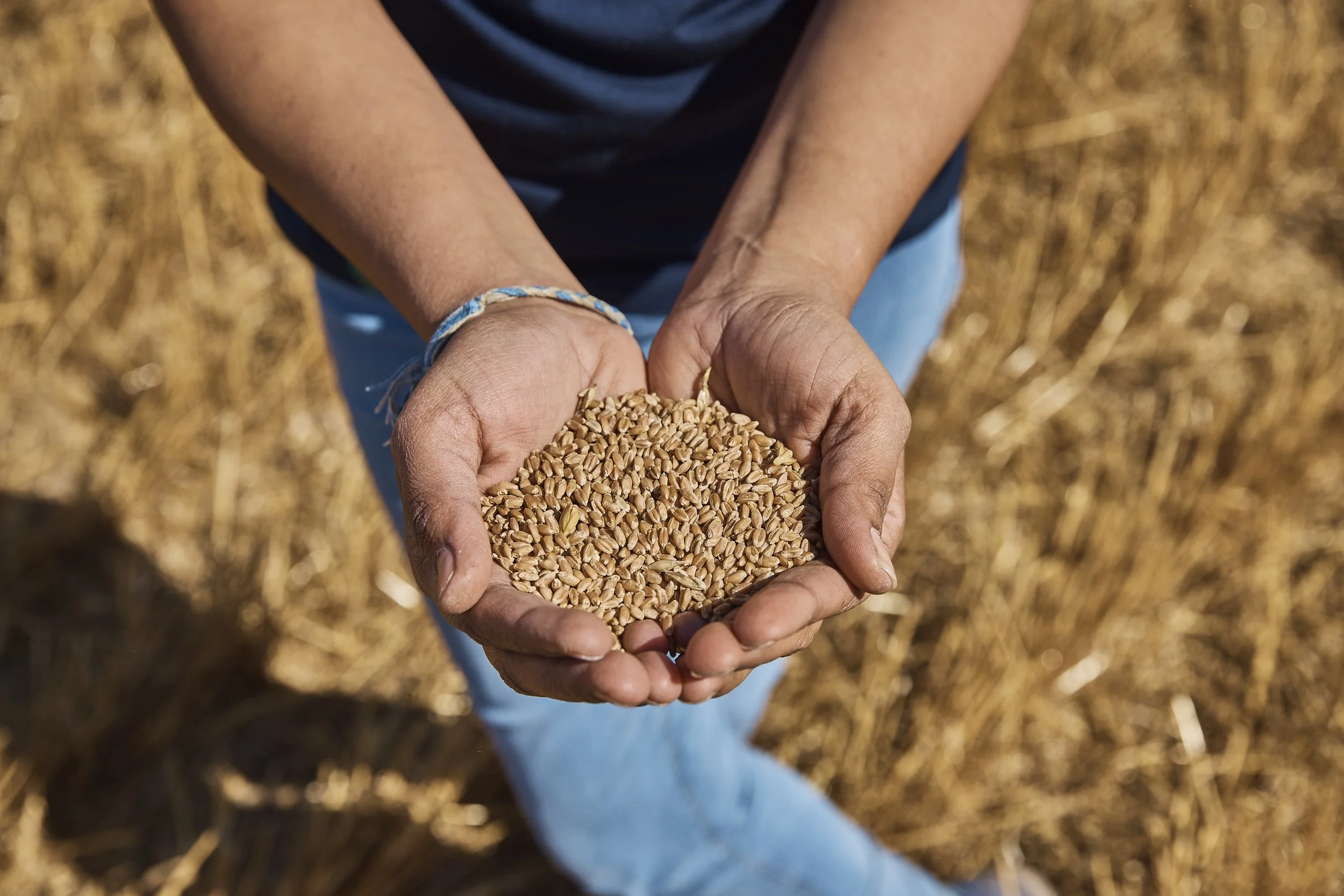 What Happens When Grain Is Misclassified? The True Cost of Small Inconsistencies