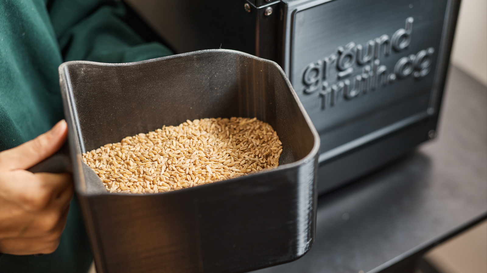 Meet the Factor: Heat Damage