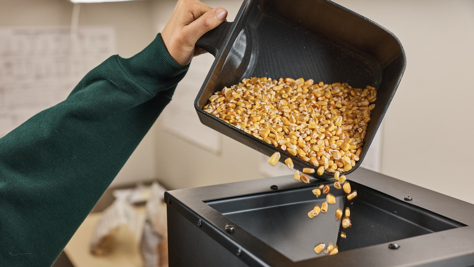 Grain Update: Soybeans and Corn