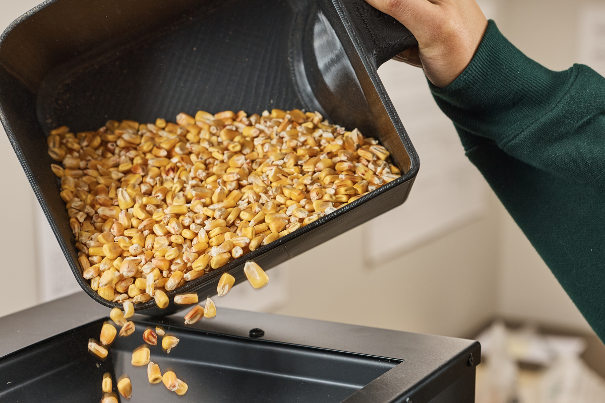 Grain Grading in Three Minutes: Simpler Than Ever