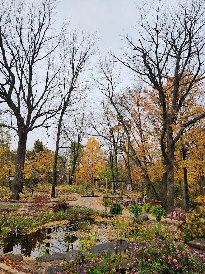 fall pond.jpg