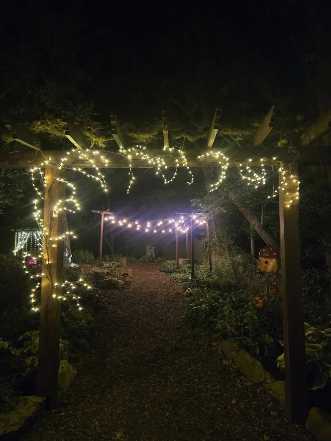 night fairy garden.jpg