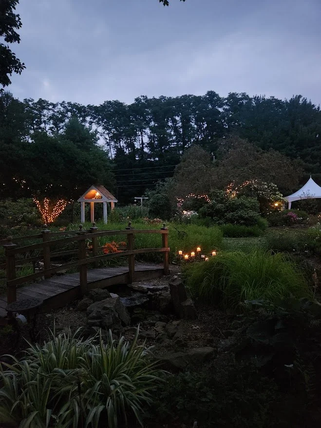 night sun gardens.jpg