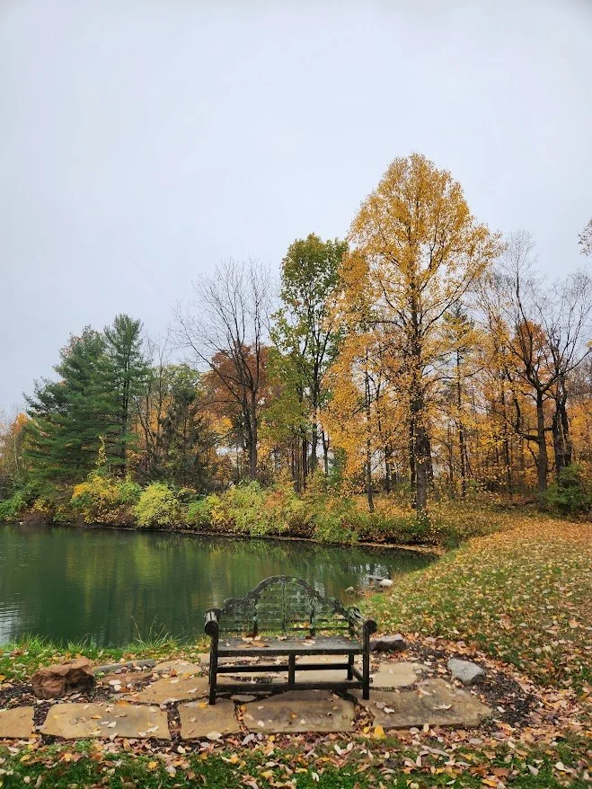 fall pond1.jpg