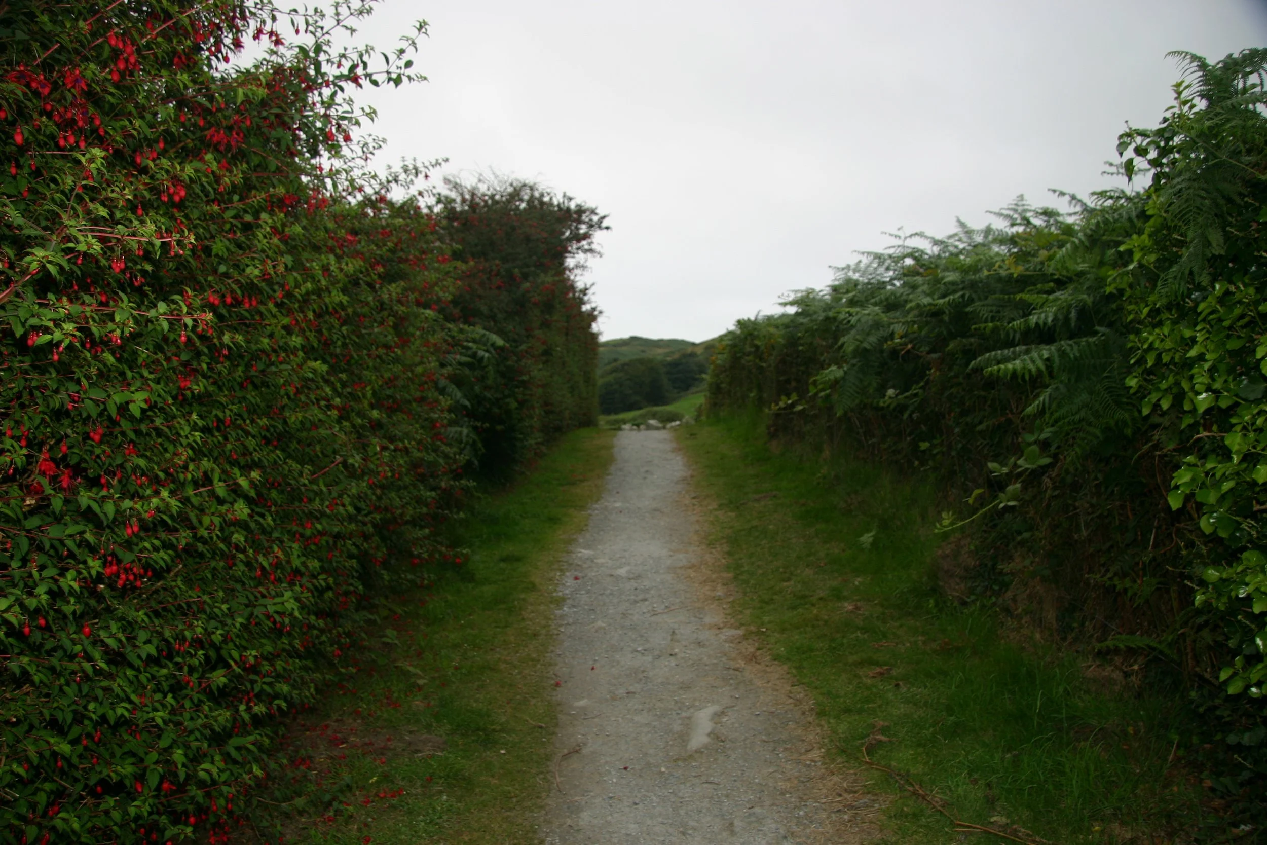 Path to Drombeg