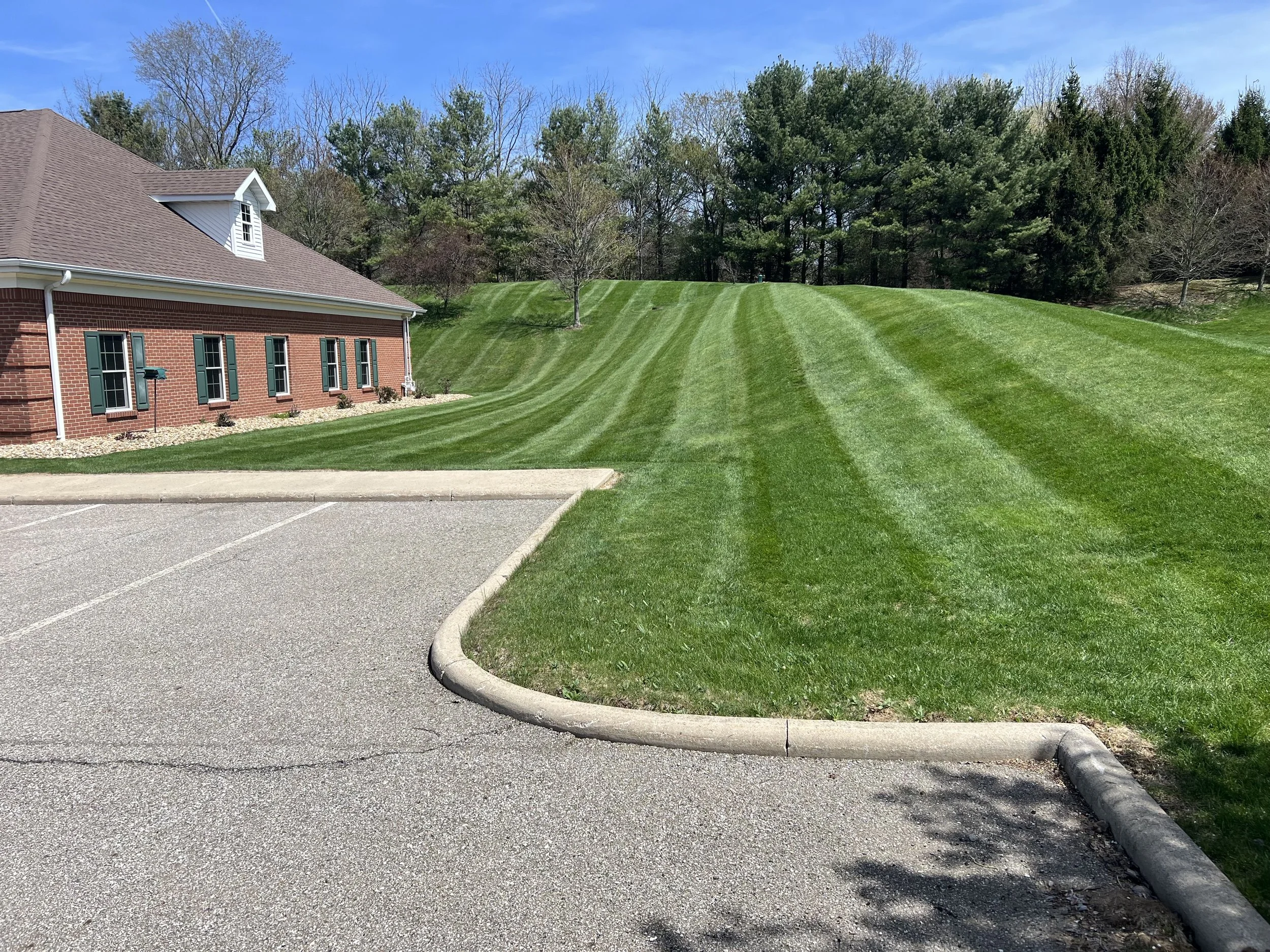 mowed lawn