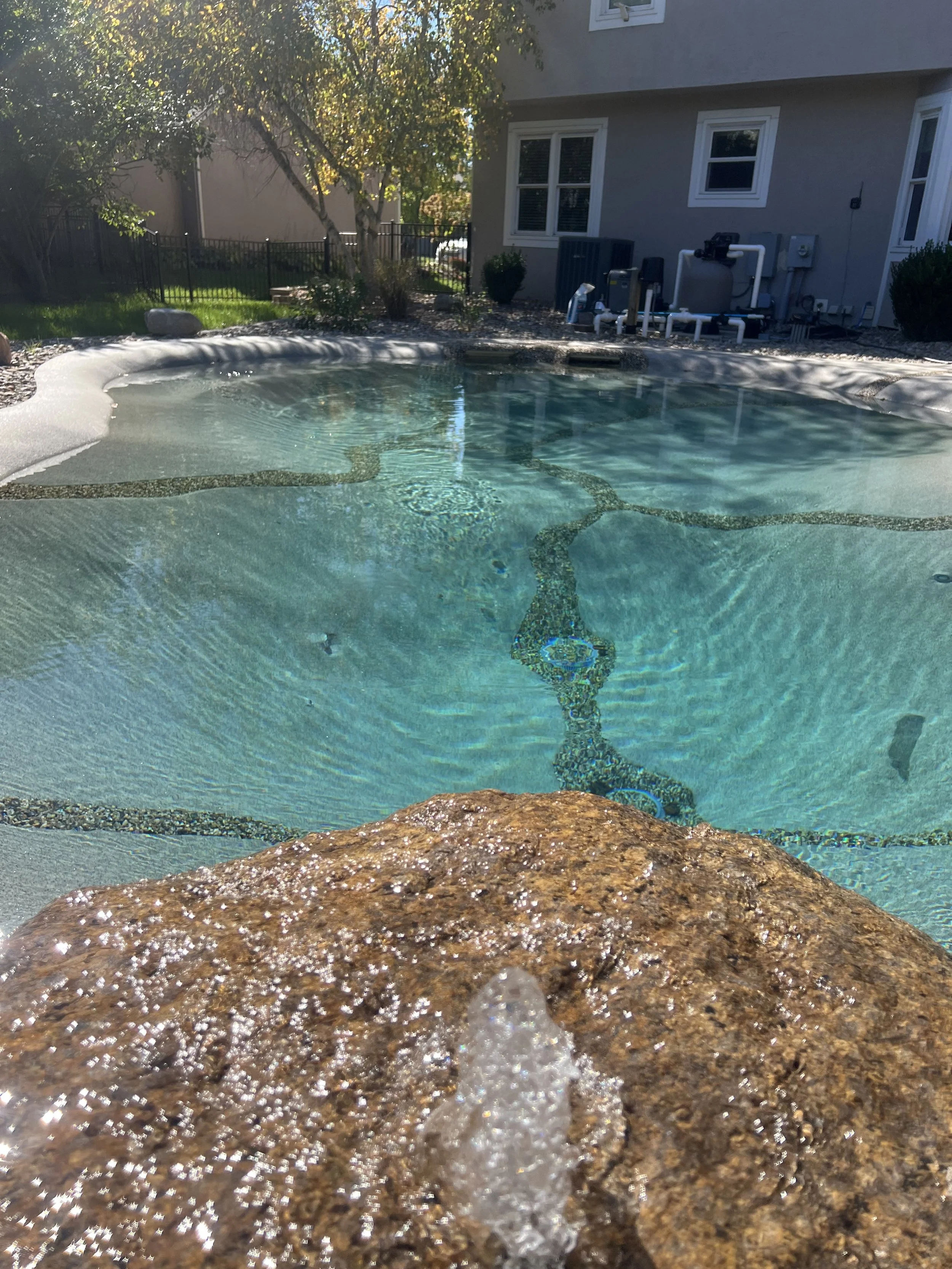 biodesign pool