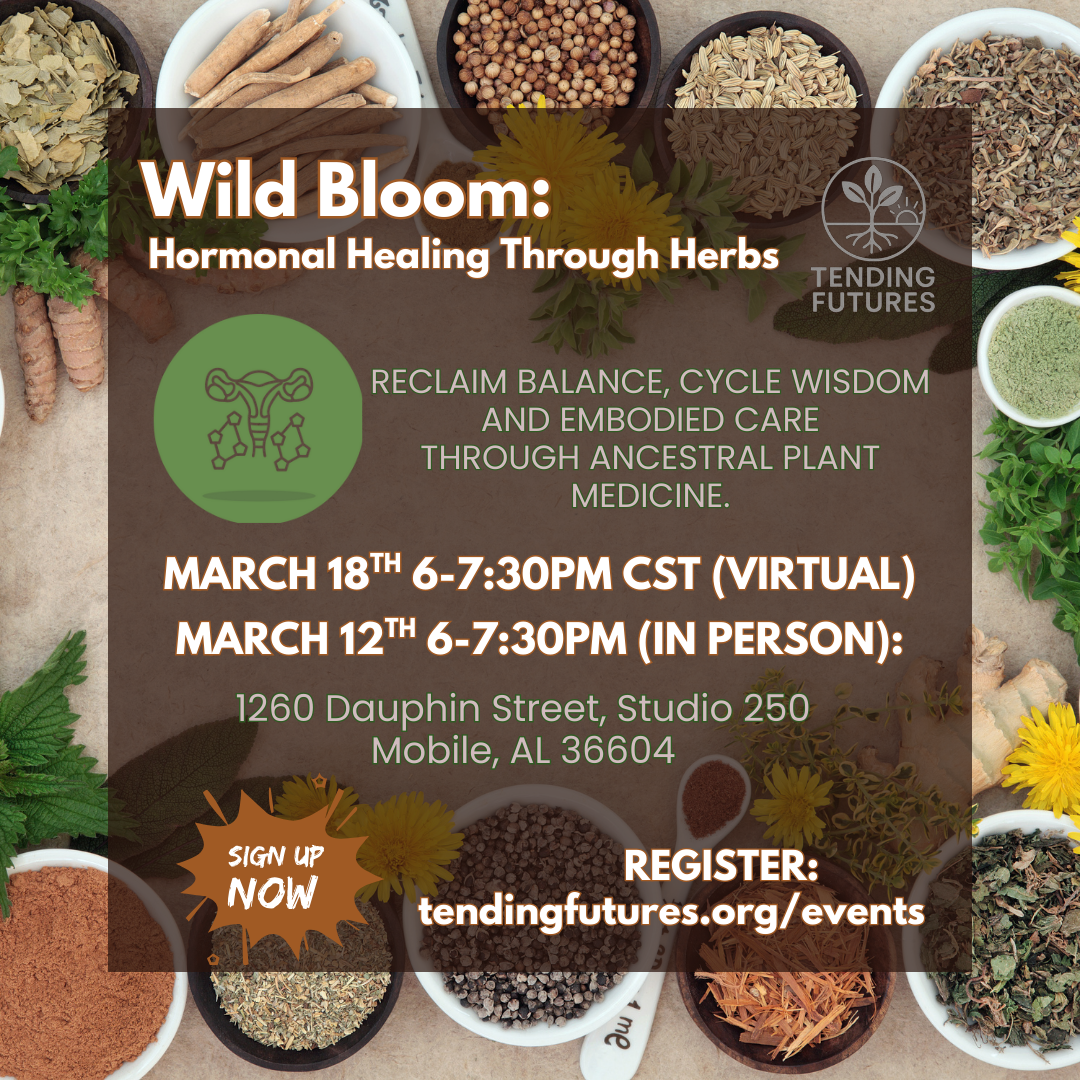 Wild Bloom: Hormonal Healing Through Herbs (In Person)