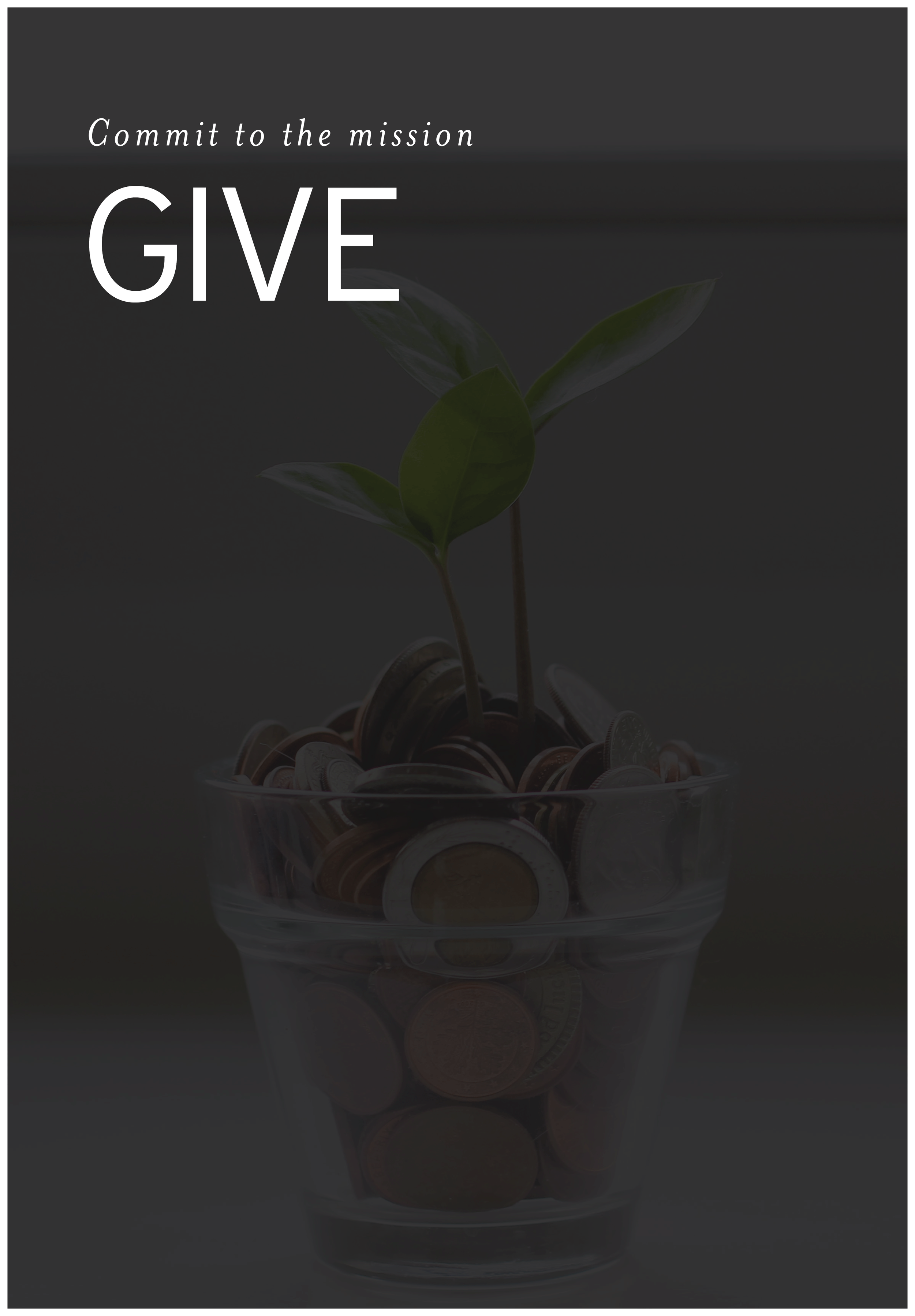 Give Slider copy New.png