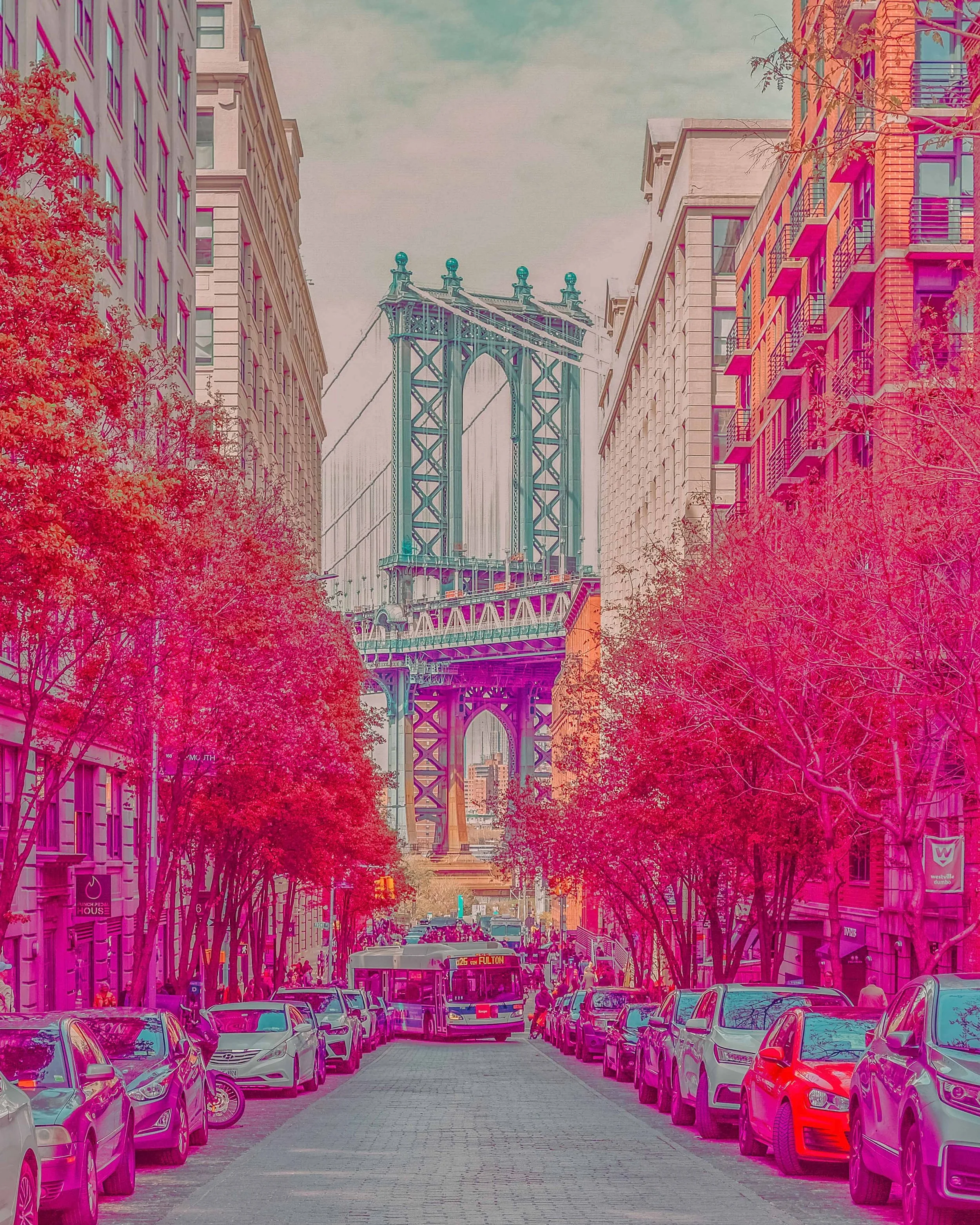 2022_0423_14464700_exported_1650851405789 (1)_Original.jpeg