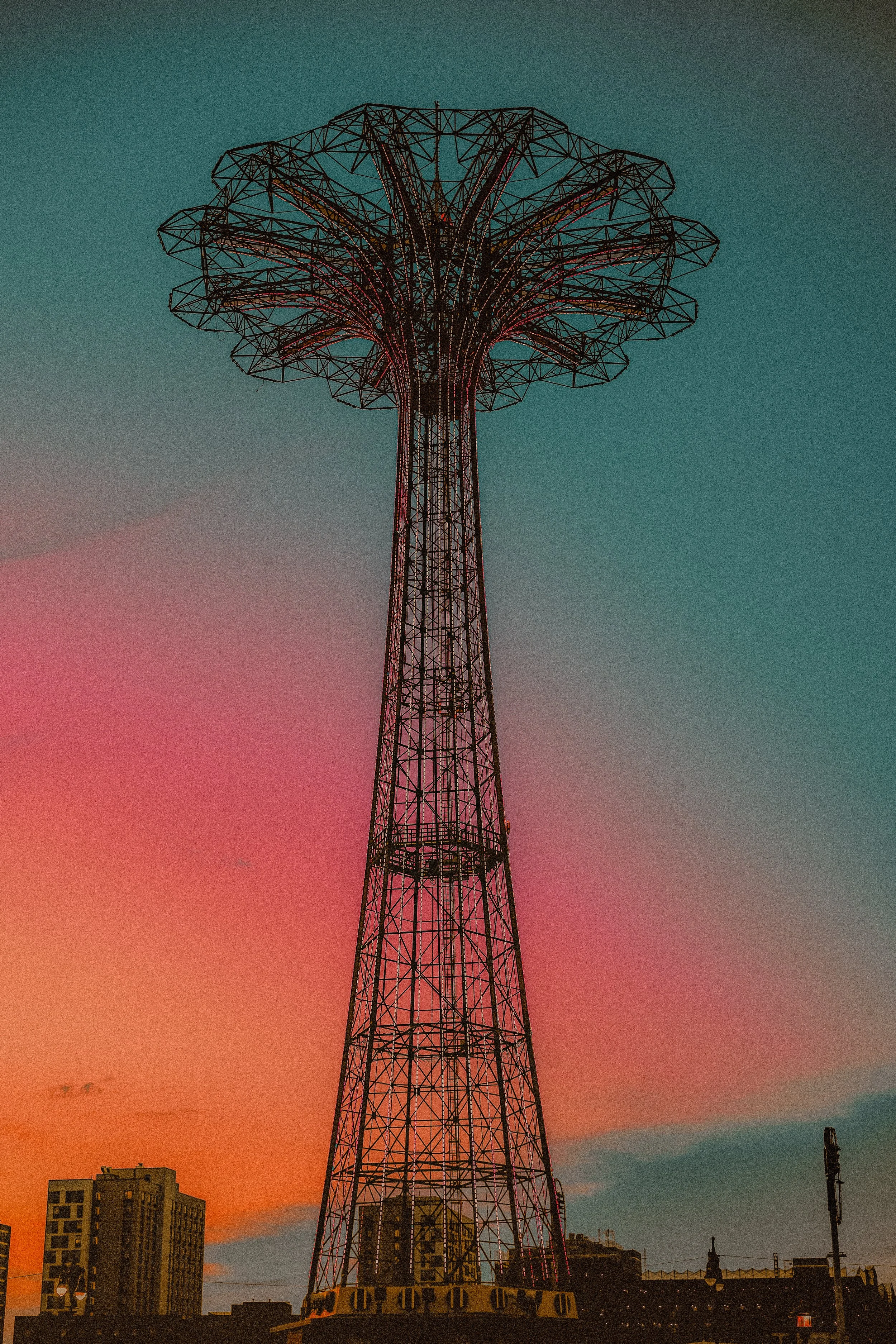 DSCF6643.jpg