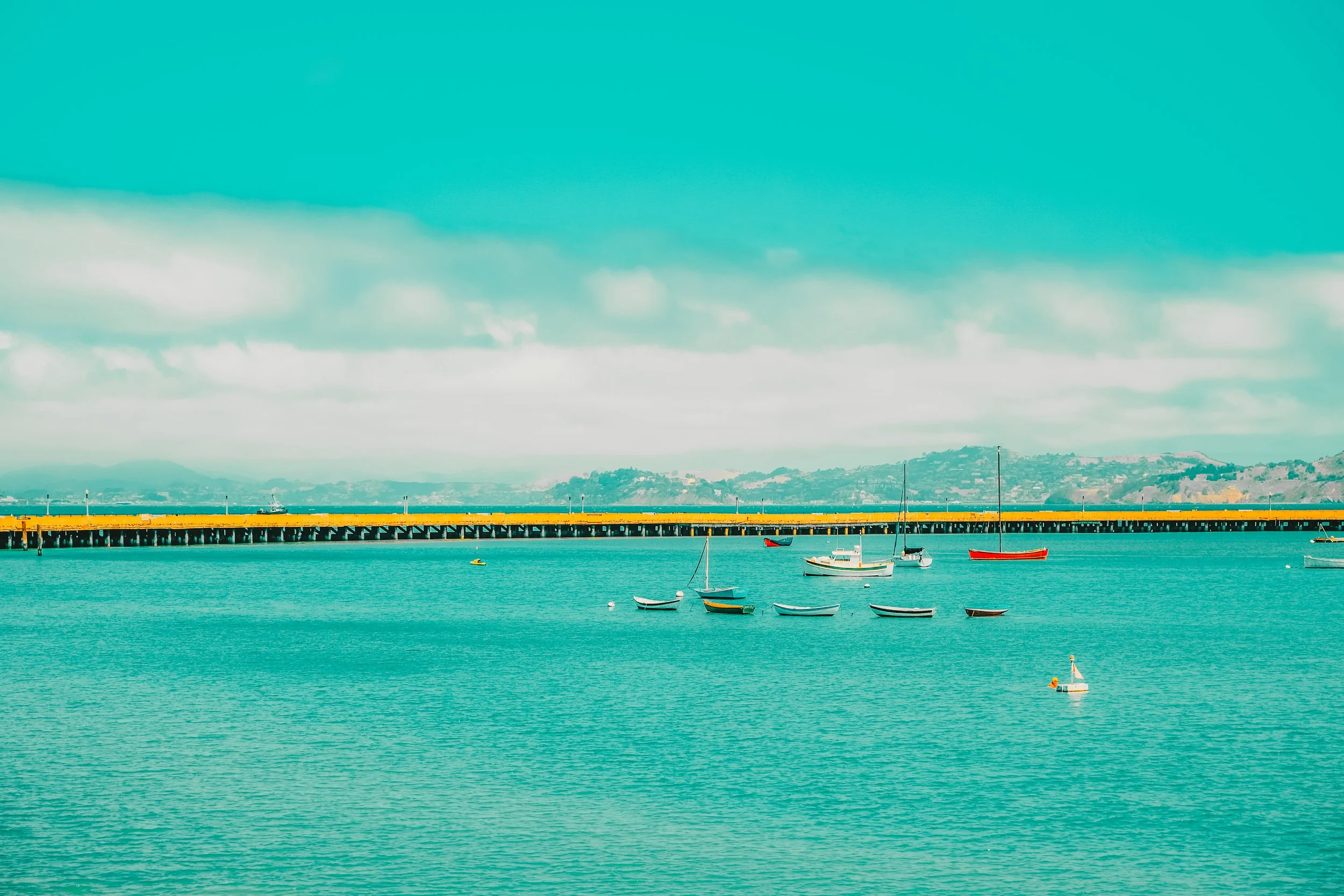 DSCF6548-2.jpg