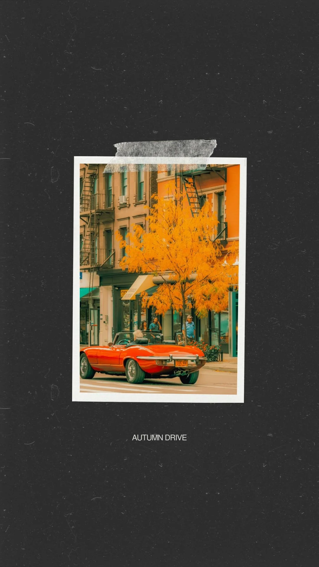Autumn Drive