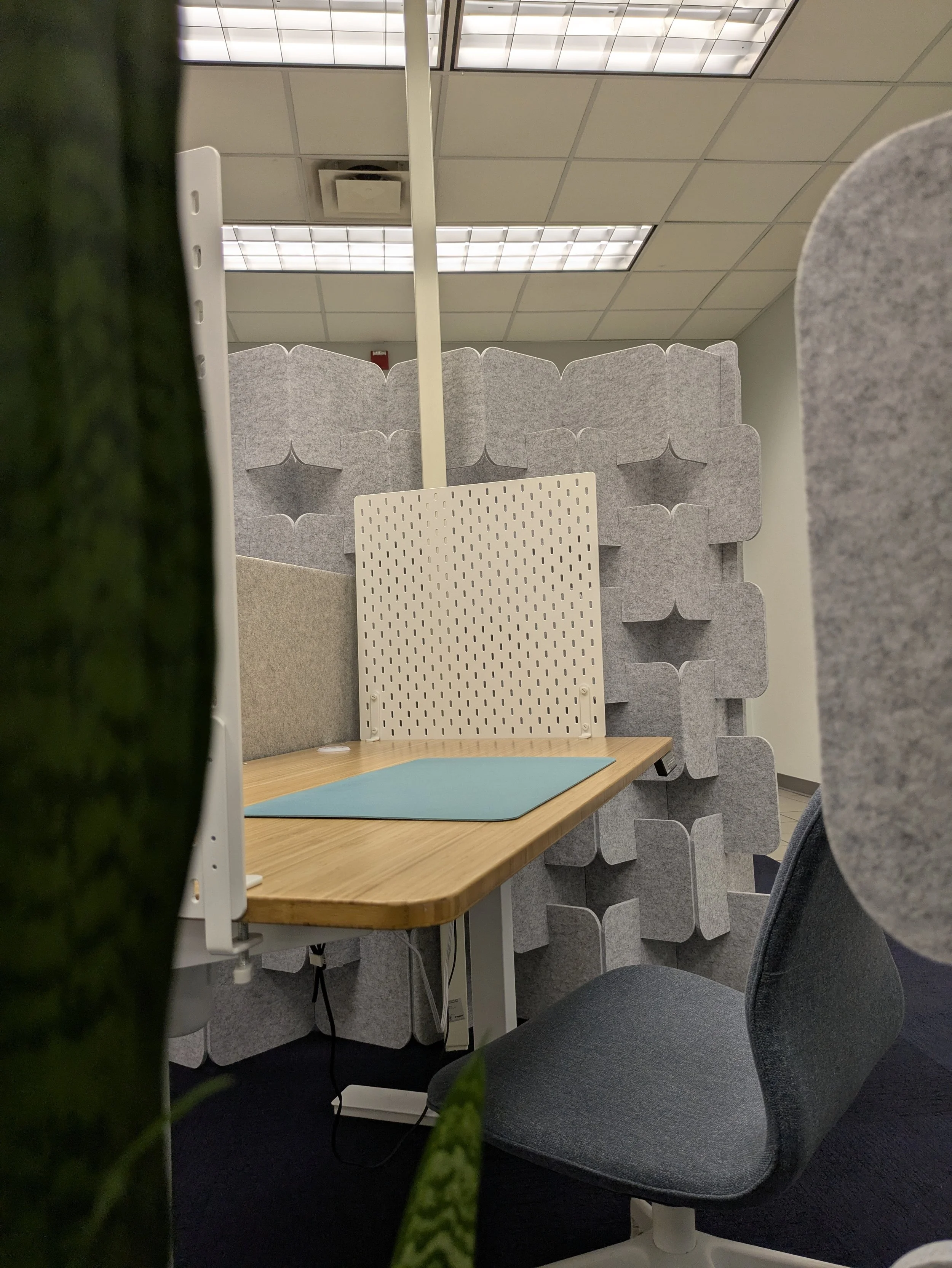 PXL_20250510_201425557.RAW-01.COVER.jpg