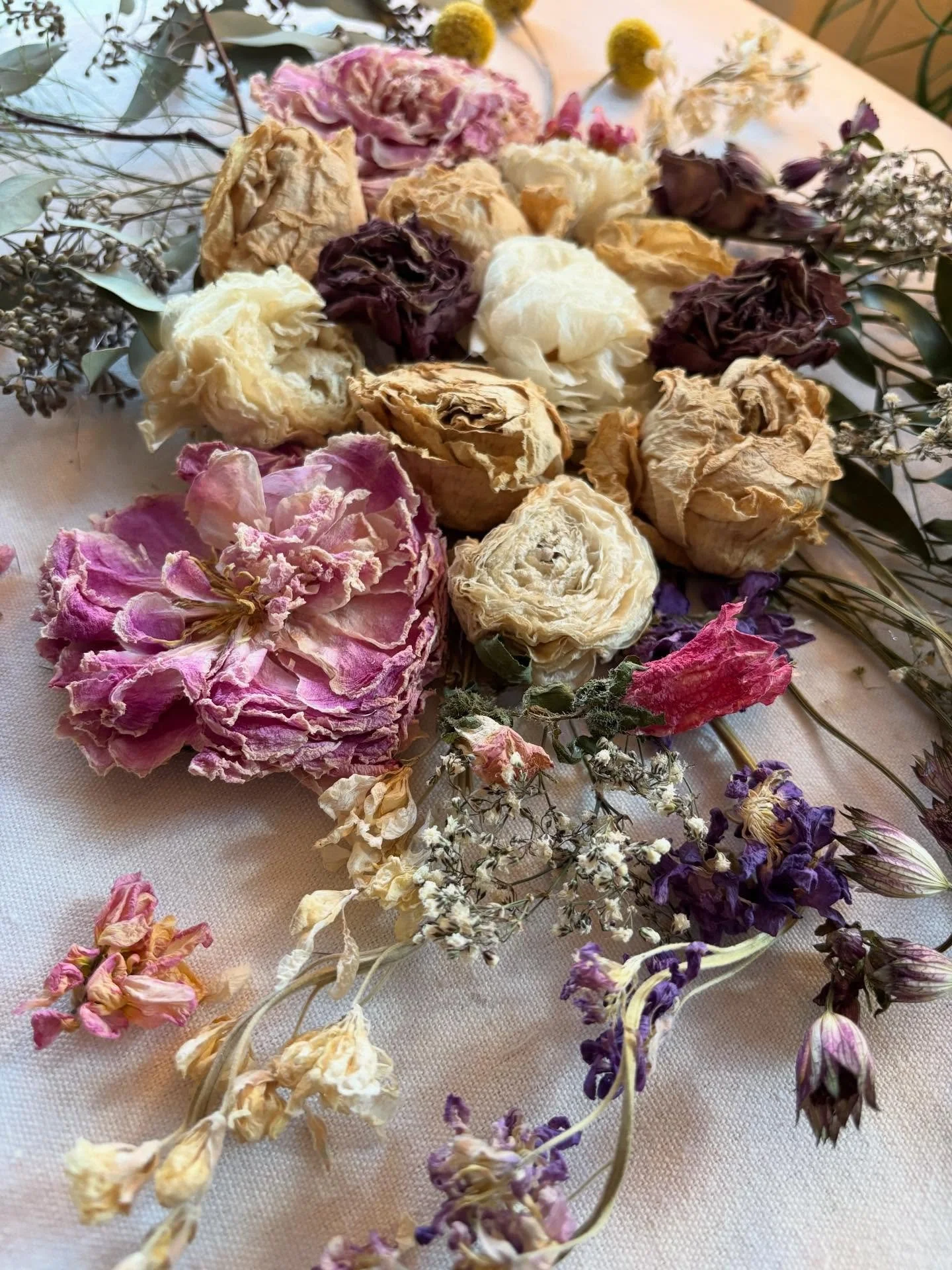 Maddy ✨
.
Florals: Garziano Flowers
Photography: @toni.marie.photography 
#bouquetpreservation #floral #floralartistry #weddingartistry #phillybride #forever #phillybrideguide