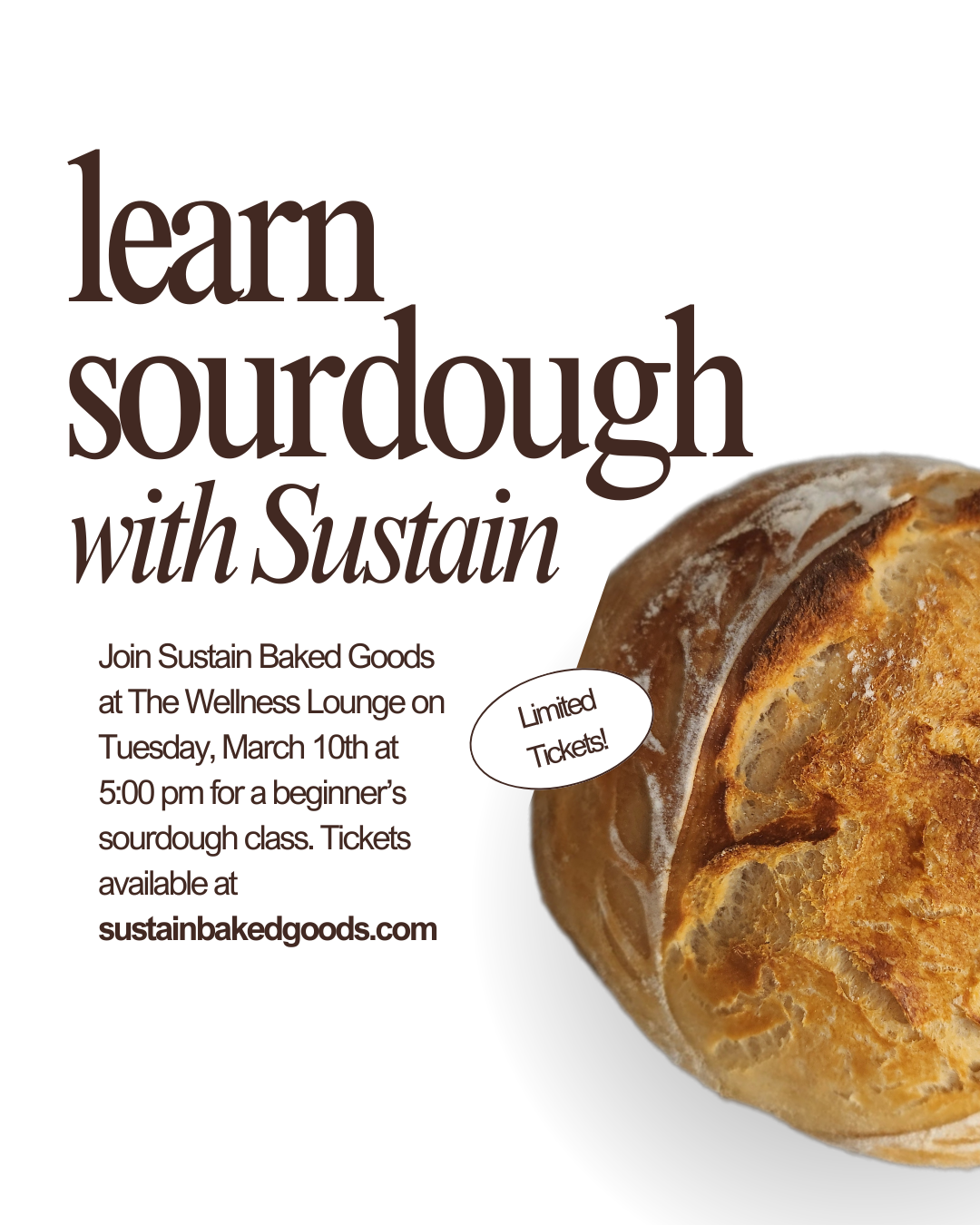 Beginner's Sourdough Class- The Wellness Lounge - March 10th