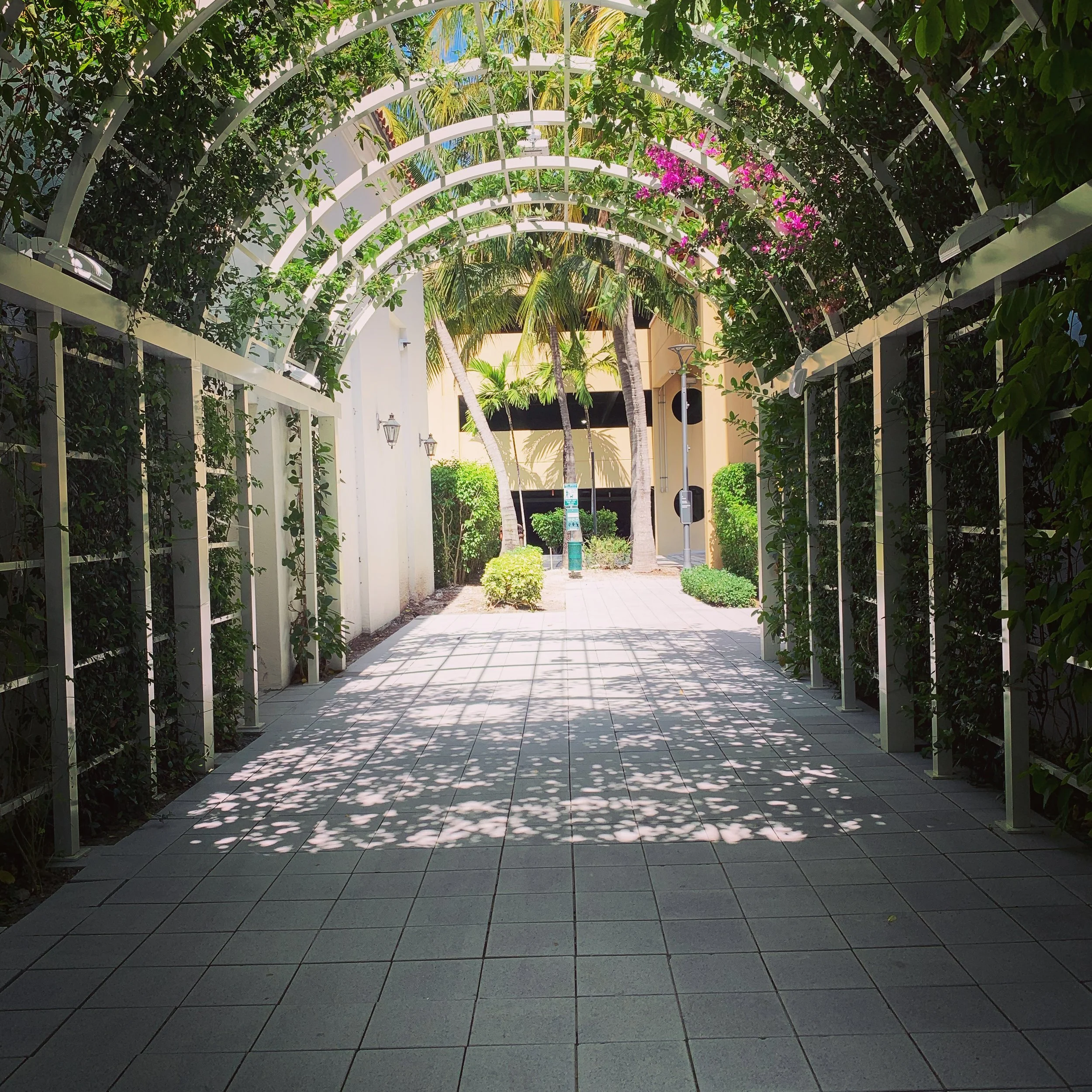 34A60333-DC57-49C0-93B2-C109DFF5D57E.jpg