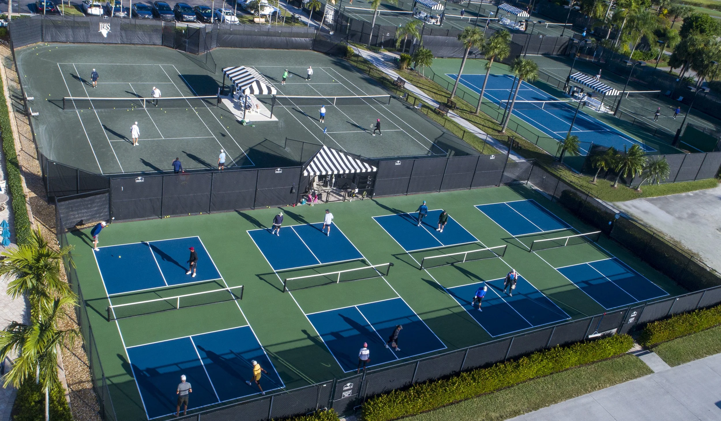 DJI_0865-1 pickle.jpg