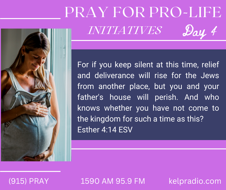 PRAY FOR PRO-LIFE INITIATIVES (Day 4)