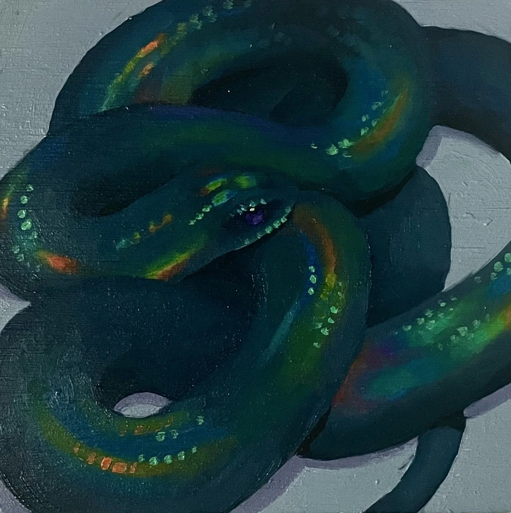 Black Snake Study, 2021. Oil on board, 5.5 x 5.5 in.