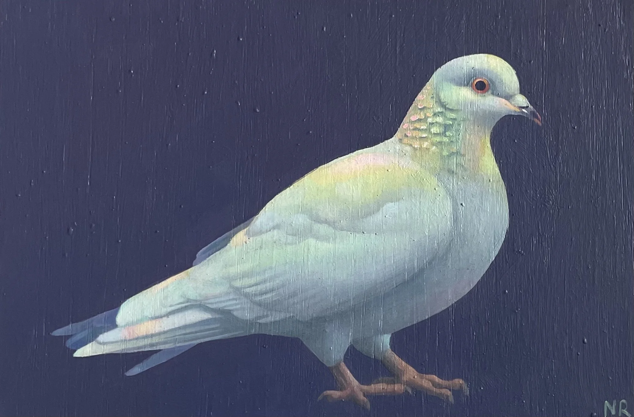 White Pigeon, 2023. Oil on board, 9 x 6 in.
